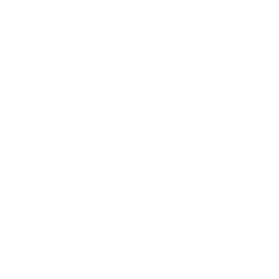 Rokad Icon Logo